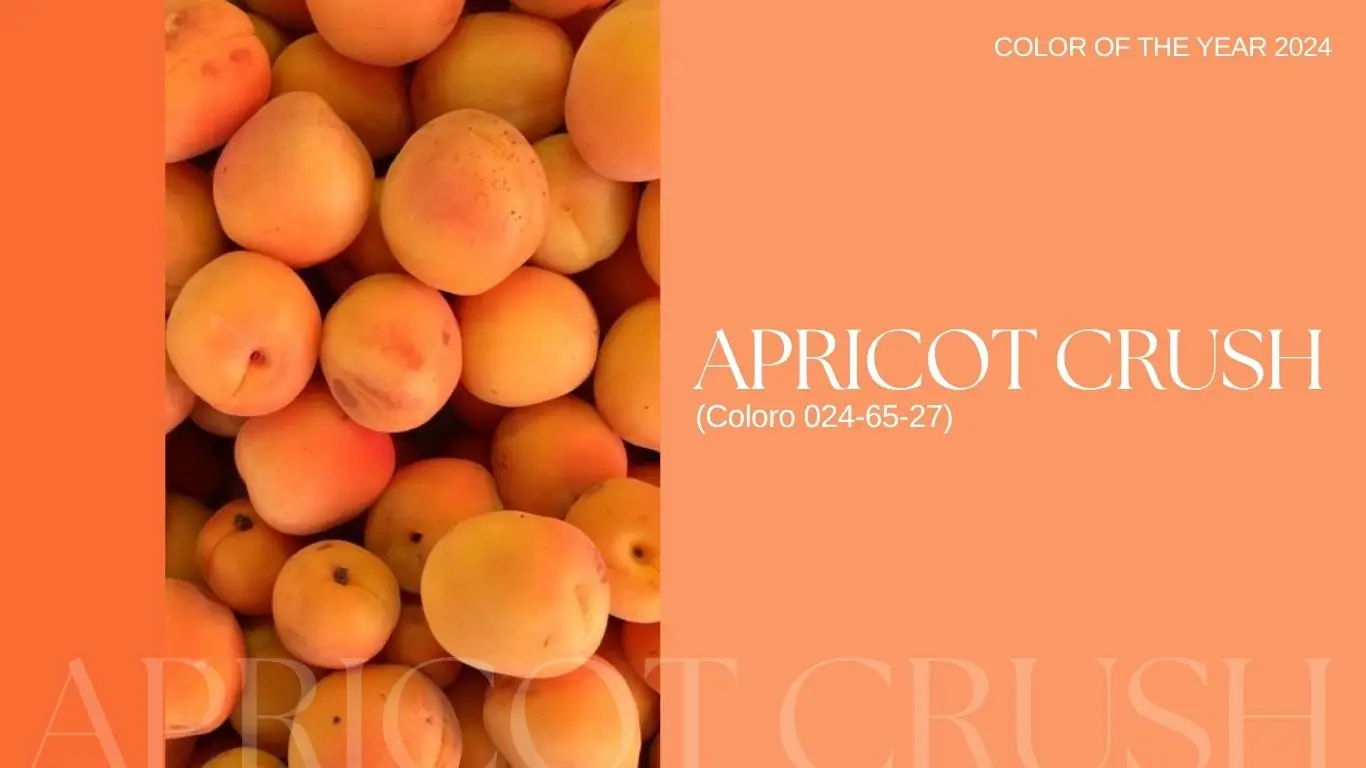Apricot Crush — Color Trend 2025